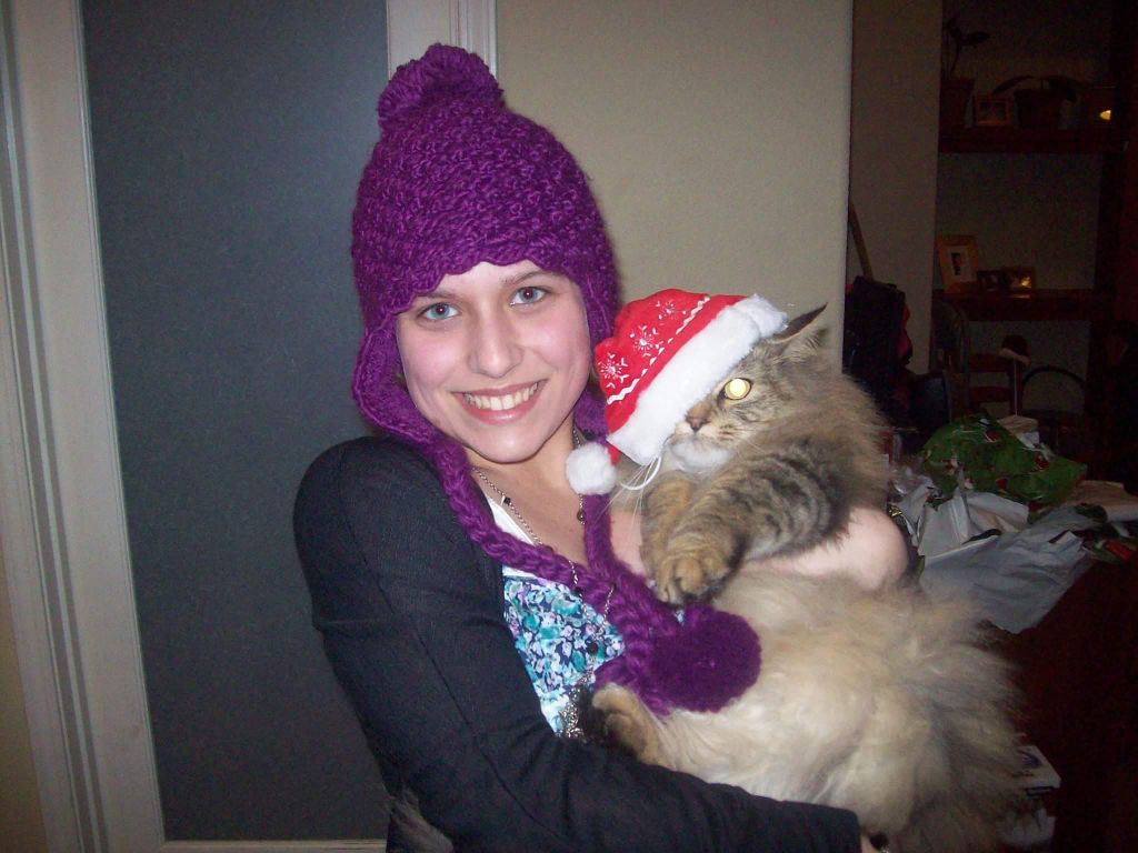 Christmas Cats